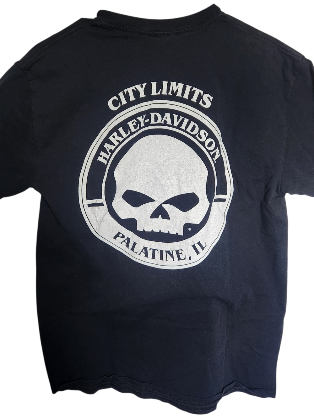 Harley-Davidson Men's Black Graphic Skull Tee-Palatine Size Medium